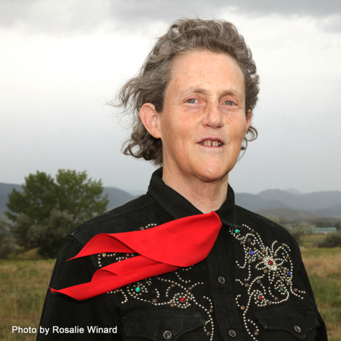 Photo, headshot of Temple Grandin, accredited to Rosalie Winard.