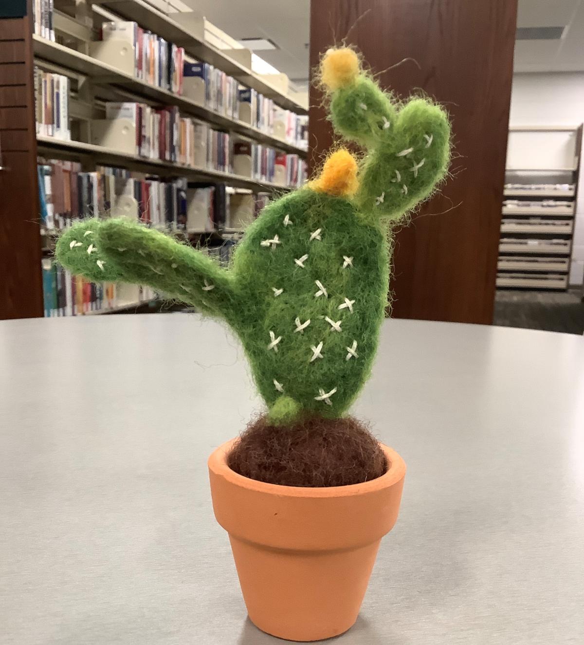 Cactus sample