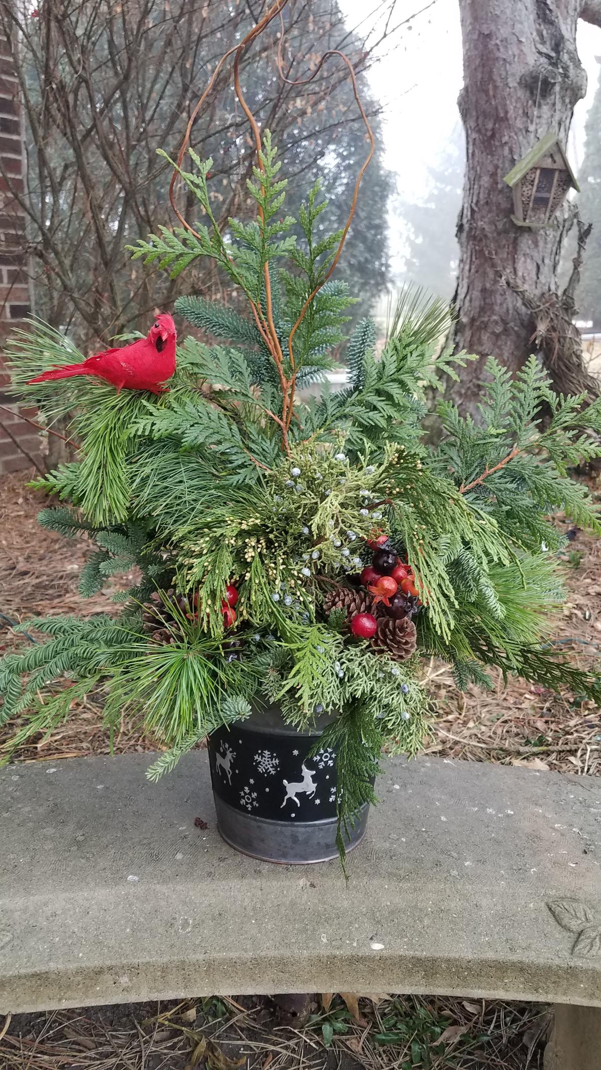 Photo of evergreen arrangement in pot with holiday theme